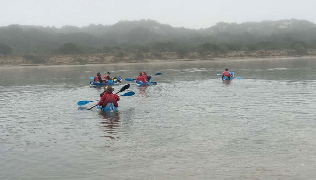 Sundays River Canoe Tour - Foto 2