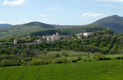 Agriturismo I CASALI DI MORRO - Foto 12