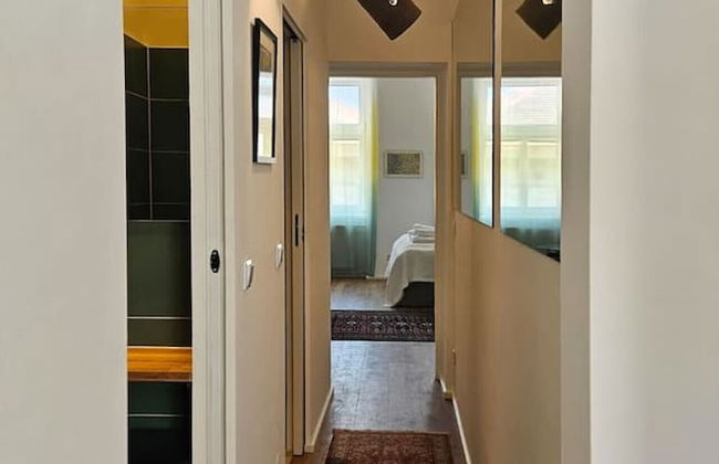 Orange Palm - Foto 3