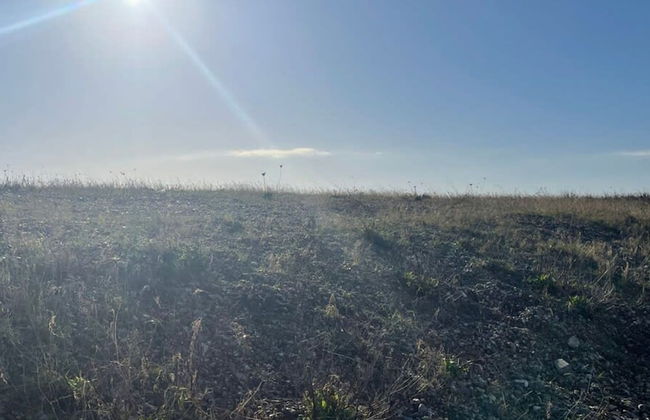 74 Bayside Cove Pevensey Bay Holiday Park - Foto 40