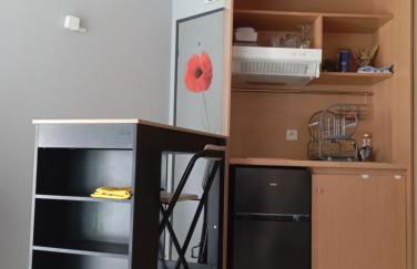 Appartement Chasseneuil Futuroscope - Foto 9