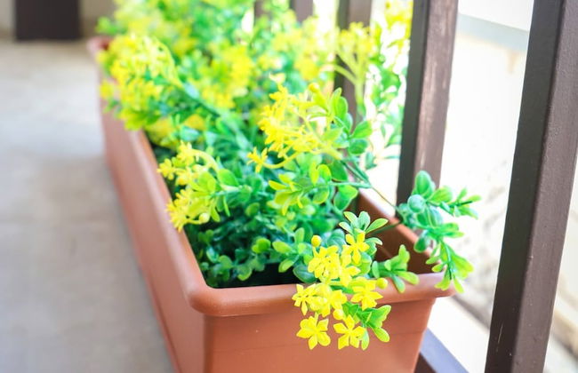 Pr Pvt Rm 5 Qn Bed Gated Comm Easy Parking - Photo 26