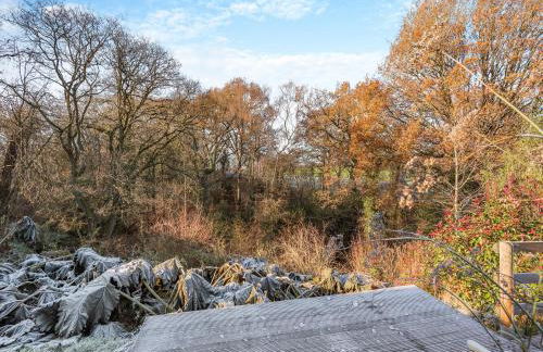 The Shepherds Rest - Uk45532 - Foto 13