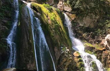 Garden Residence - Foto 38