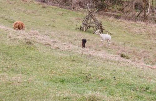 Brooklands - Foto 31