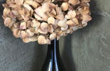 Casa da Arquinha - Photo 20