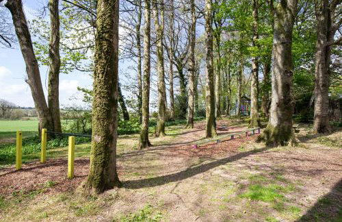 Cornish Holiday - 91 Hengar Manor - Foto 25