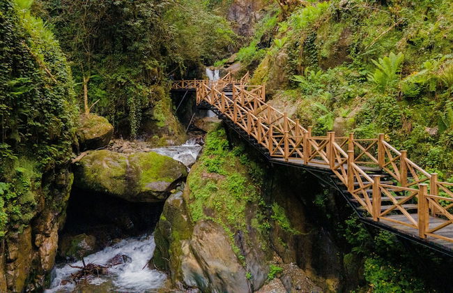 Safir Doğa Evleri - Photo 50