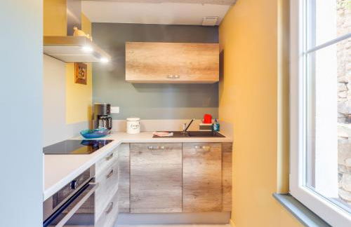 Apartment in Alsace near Haut-Koenigsbourg - Foto 5