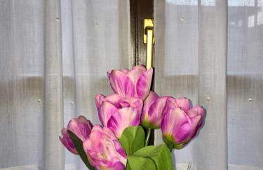 Apartamentos Palombina - Foto 1