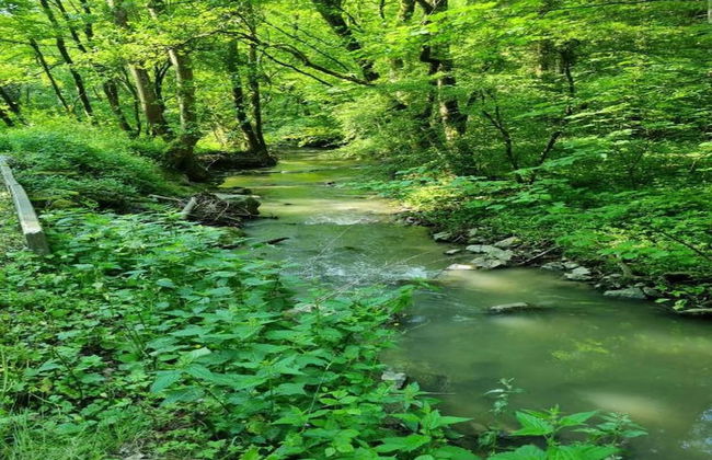 Lodge in Durbuy With Hot Tub & Valley Views - Photo 31