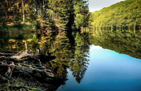 Haus Astenblick in Winterberg Ferienwohnungen mit Gastraum Wanderveranstaltungen und Familienfeiern - Foto 48