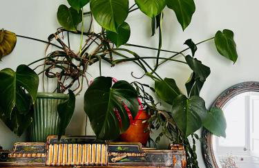 Central Apartment with parking, original art and antiques - Foto 15