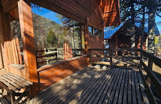 Oceana Suites Corralco - Photo 42