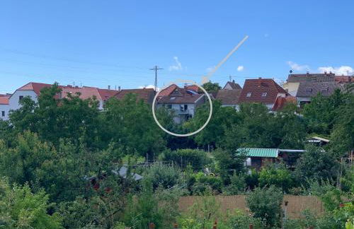 Zeit in Hambach - Foto 41