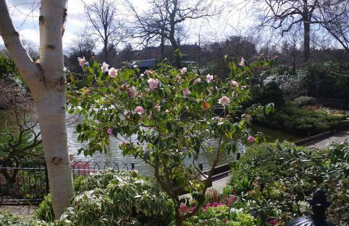 Chandeliers 6 - Photo 28