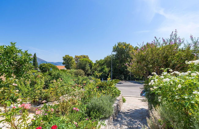 Apartments Djurkovic - Foto 59