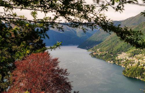 Green Molina - Foto 34