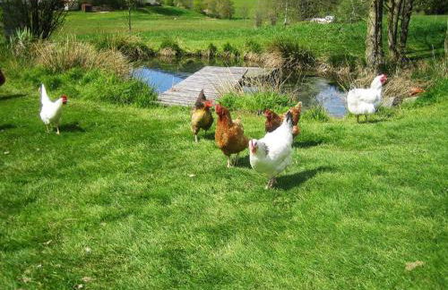 Ferienwohnung Josef Müller - Foto 58