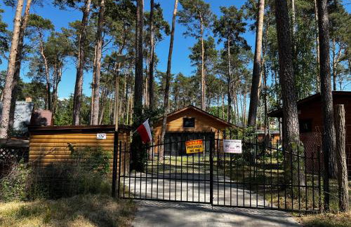 Domek Dębowy 2 - Foto 18