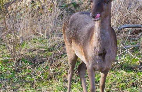 Miła Dolina - Foto 54