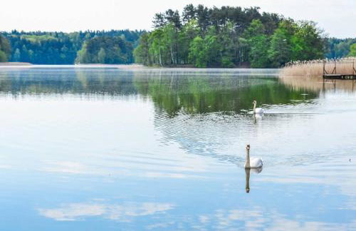 Wiejska 21 - Foto 17