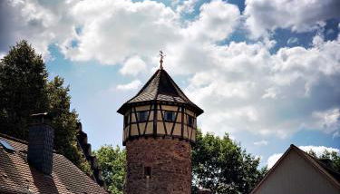 Schwarzer Adler - Foto 4