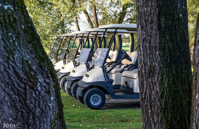 Zala Springs Health & Golf Resort - Photo 61