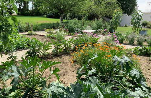 Le Gite du Chemin Vert - Foto 17