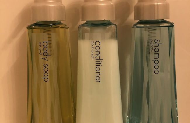 Hakuba Canadian Lodge - Foto 41