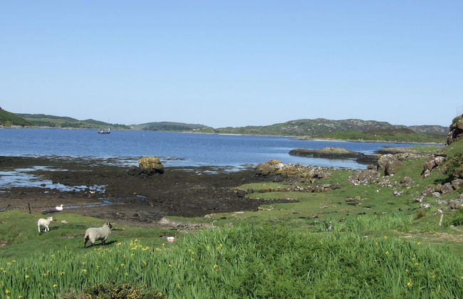 Little Cottage-village of Bunessan-sleeps4 - Foto 19