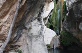 La parrilla - Photo 12