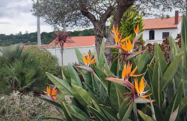 'Kairos Casa' - Foto 3