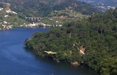 Pedacinho de Mundo Douro - Foto 44