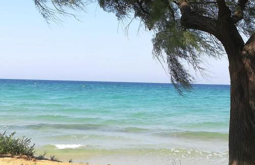 Tra Vento e Mare - Foto 28