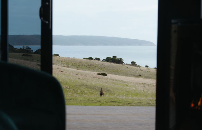 CABN Kangaroo Island Ocean View Private Off Grid Luxury Accommodation - Foto 36