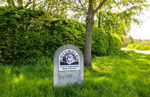 Alstroemeria - Photo 19