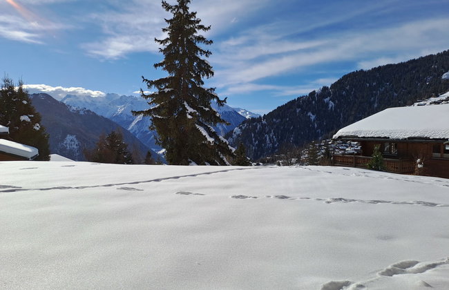 Baudrier A28 - Foto 24