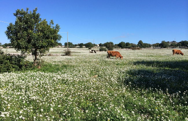 Case di Cutalia - Foto 37