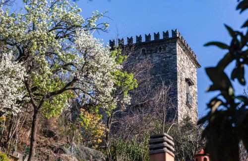 Casa del Borgo "Terra & Fuoco" sul Lago Maggiore - Foto 79