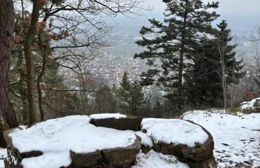 Schwalmala Logement calme au coeur du vignoble - Foto 20