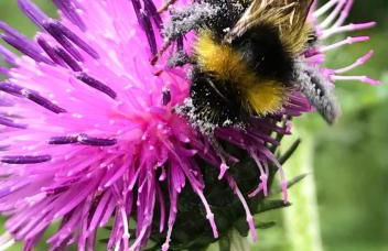 Ferienwohnung Auszeit am Kurpark Bad Berka - auch im Frühling toll! # Balkon # ruhige Lage # gratis Parkplatz & WLAN # Nähe Weimar # Weimarer Land - Photo 33