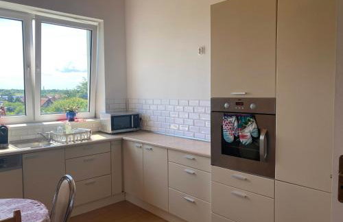 Poddasze Pierwoszyno - Foto 9