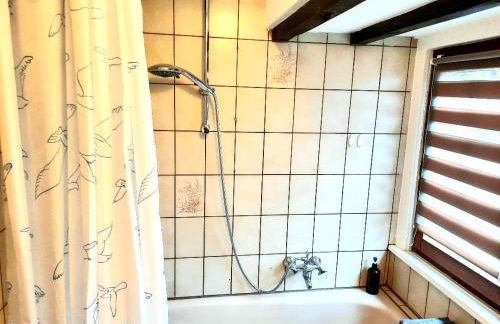 Lenzenhof anno 1720 II - Foto 16