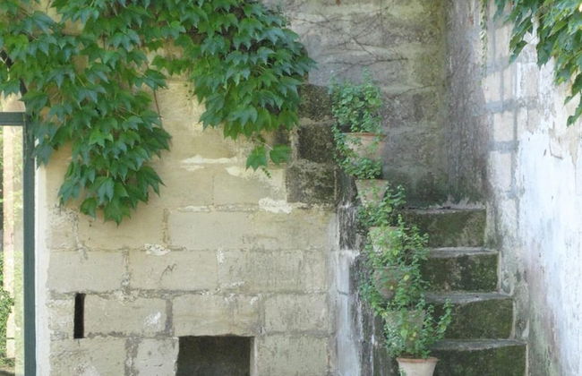 Tenuta Sant'Andrea - Foto 44