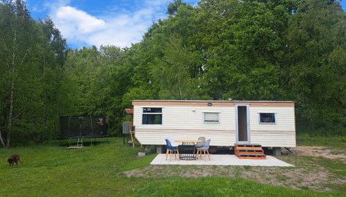 Ulinia Wilcza 4 beżowy - Foto 1