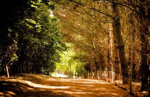 The Garlic Farm - Photo 60