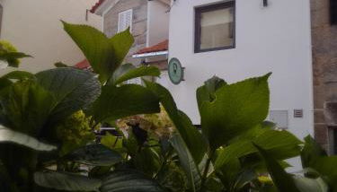 Casa Luís de Camões - Boutique & Literary House - Foto 2