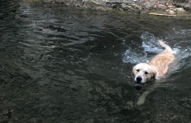 L'Olivier Fleurie Barjols - Foto 17