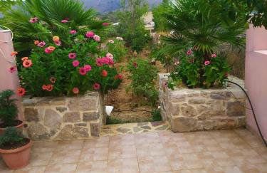 Creta guesthouse ARXONTIKO! - Foto 25
